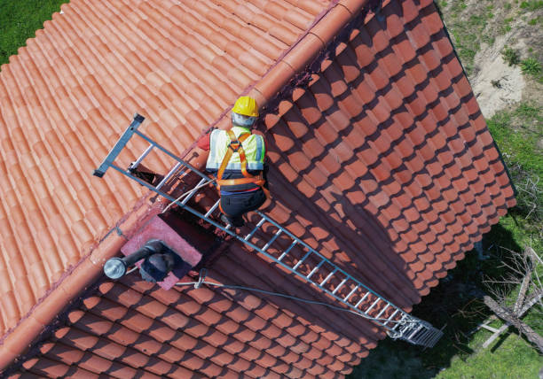 Best Solar Panel Roofing Installation  in Bass Lake, IN